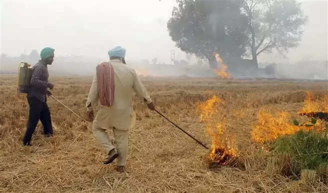 ਜਸਟਿਸ ਅਗਰਵਾਲ ਨੇ ਦੁਹਰਾਇਆ ਕਿ ਵਾਤਾਵਰਣ ਨੂੰ ਬਣਾਈ ਰੱਖਣ ਵਿੱਚ ਕਿਸਾਨ ਅਹਿਮ ਭੂਮਿਕਾ ਨਿਭਾਉਂਦੇ ਹਨ।